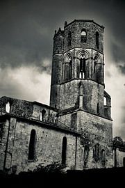 Le mystère de l'abbaye de la Sauve-Majeure Noir et Blanc sur Jos Voormolen