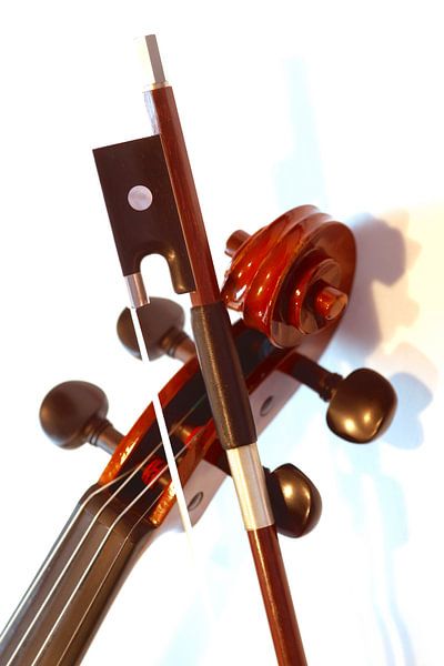Violin by Thomas Jäger