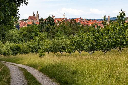 7 sur Frank Herrmann