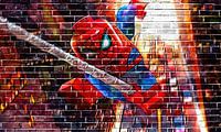 LEGO Marvel Spiderman graffiti collectie 2 van Bert Hooijer thumbnail
