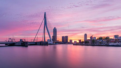 Rotterdam Sunset