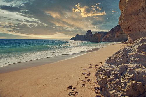 Der unsichtbare Hund