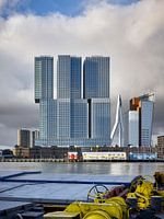 Hoogbouw Rotterdam
