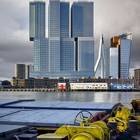 Hoogbouw Rotterdam van Michael Moser