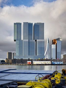 Hoogbouw Rotterdam van Michael Moser