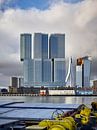 Hochhaus de Rotterdam von Michael Moser Miniaturansicht