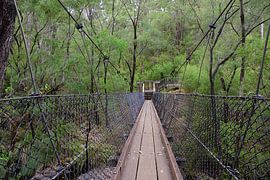 Die Hängebrücke sieht sicher genug aus von Frank's Awesome Travels