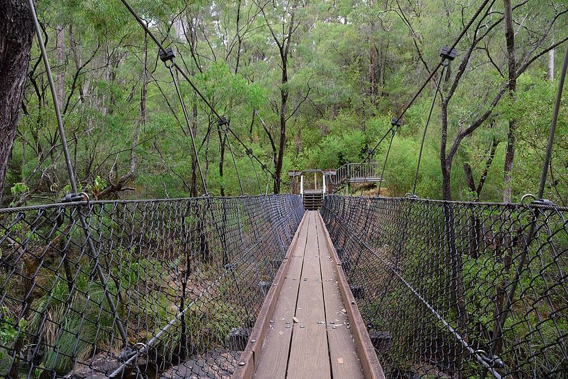 Le pont suspendu semble suffisamment sûr par Frank's Awesome Travels