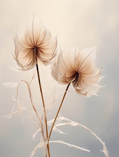 Le silence sous le ciel