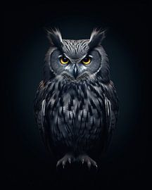 Portrait d'une chouette