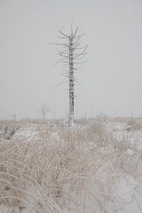 Winterspaß im Hohen Venn