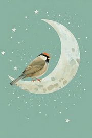 Bird on crescent moon with stars illustration by Dante S