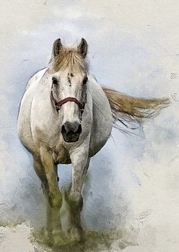 paardensportbeoefening #paard van JBJart Justyna Jaszke