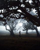 Horror forest (Part 2) (Madeira, Portugal)