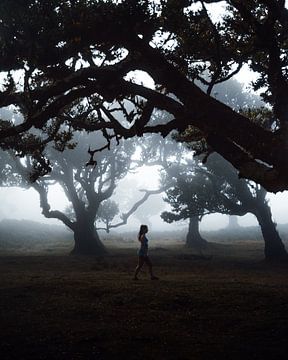 Horror forest (Part 2) (Madeira, Portugal) van Ian Schepers