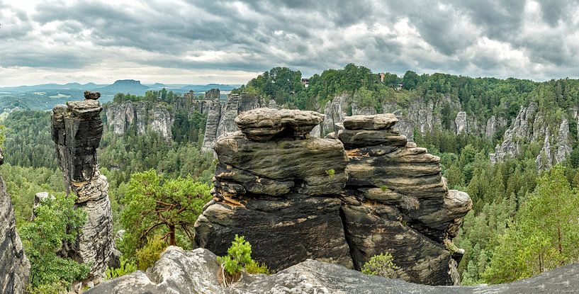 National Park Saxon Switzerland, Elbsandstein, Lohmen, Saxony, Germany, by Rene van der Meer