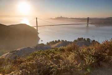 San Francisco