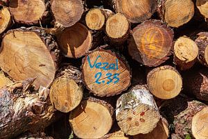 Stapel gekapt hout met vezel aanduiding