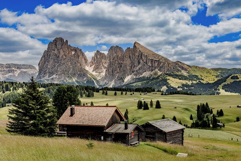 Alpe di Siusi in de Dolomieten van Dirk Rüter