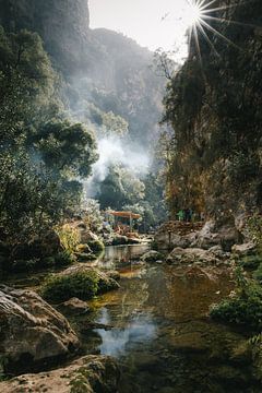 Mistige rivier in het groene paradijs van Marika Huisman fotografie