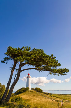 Leuchtturm Dornbusch auf der Insel Hiddensee