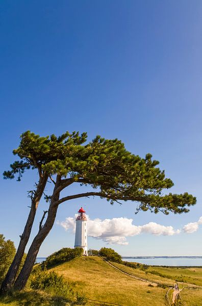 Vuurtoren Dornbusch op het eiland Hiddensee van Werner Dieterich