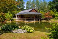 Jardin japonais - photographie de paysage par Qeimoy Aperçu