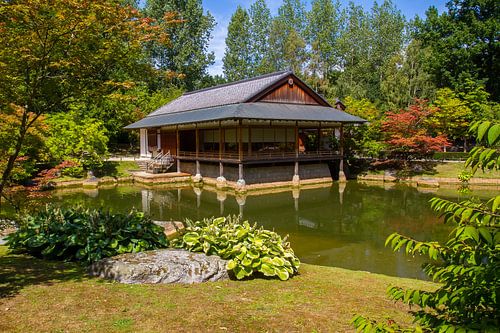 Japanese garden - landscape photography