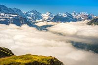 Blik vanaf Männlichen op de bergen van het Berner Oberland (Zwitserland)