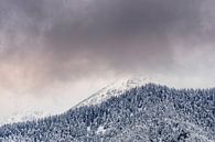 Bergtoppen in de Wolken in Oostenrijk van Martijn van der Nat thumbnail