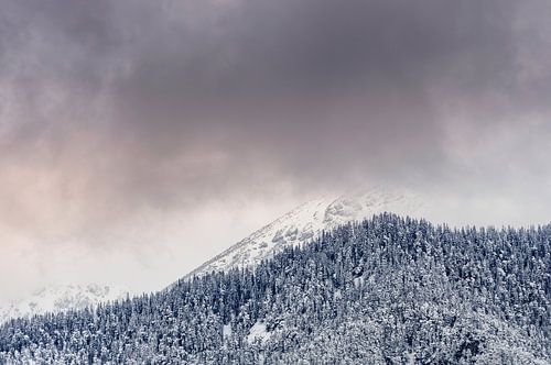 Bergtoppen in de Wolken in Oostenrijk