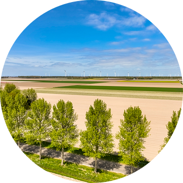 Weg in een landelijk landschap van bovenaf gezien van Sjoerd van der Wal Fotografie