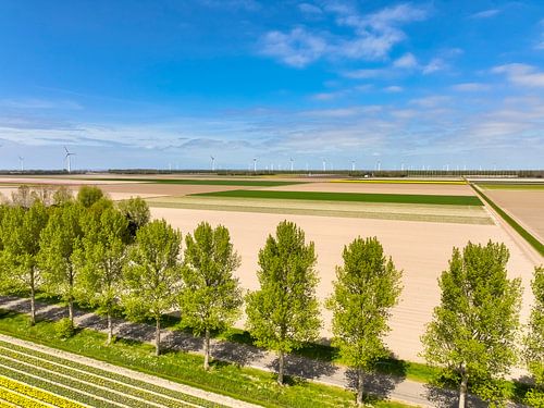 Weg in een landelijk landschap van bovenaf gezien