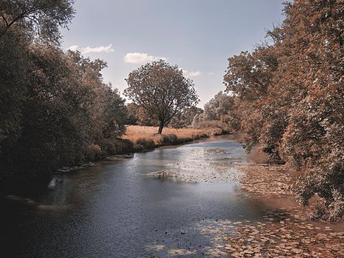 Serie "Herfstsfeer in Bünde" I