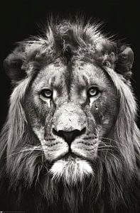 Lion King zwart-wit van abstract artwork