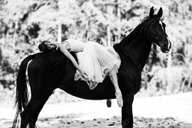Dans van paard & ballerina 3 von Sabine Timman
