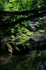 Wesenitz en été sur Thomas Jäger