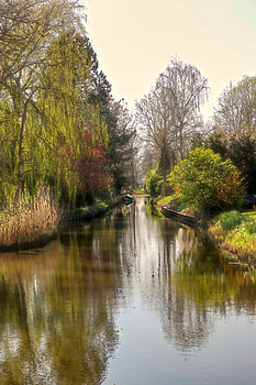 I love Holland