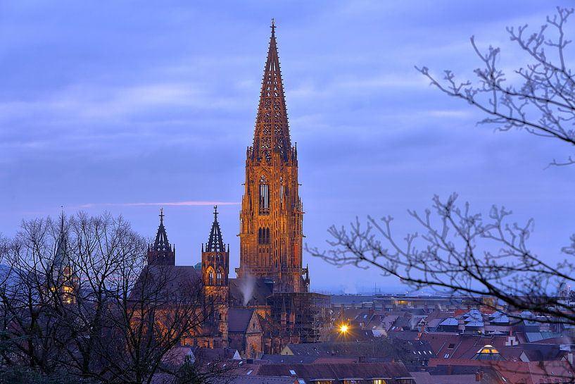 Freiburger Münster von Patrick Lohmüller