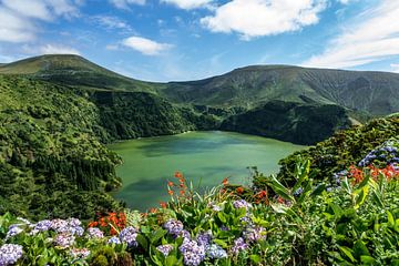 Bloemenmeer op de Azoren van Jeroen Mikkers