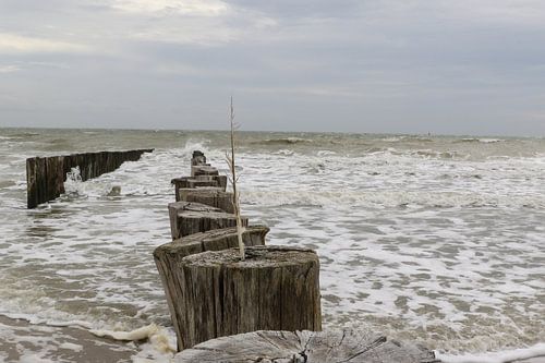 strand met golfbrekers westkapelle