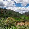 Madagaskar - Reisfelder in der Region Zafimaniry von Rick Massar