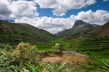 Madagascar - Rizières dans la région de Zafimaniry