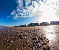 messchelpen op het strand