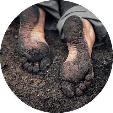 Earthy van Auke Hamers