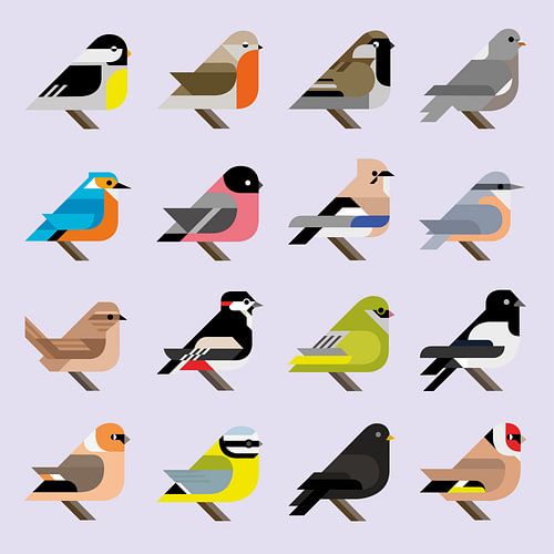 Oiseaux graphiques - 16 oiseaux de jardin hollandais en style (édition violette) sur Tim de Leeuw