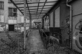 Duisternis in de achtertuin