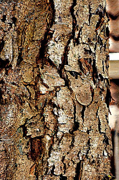 Schors van Niek Traas