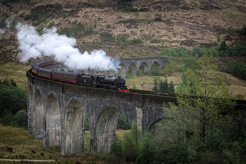 Hogwarts Express stoomtrein op het Glenfinnan viaduct in Schotland