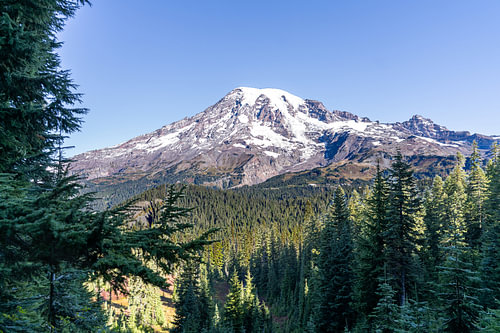 Framed View of Mount Rainier